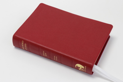 400x267 bible